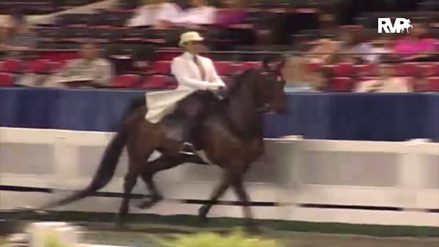 2000 WCHS Class 25 ASB Three Gaited S...