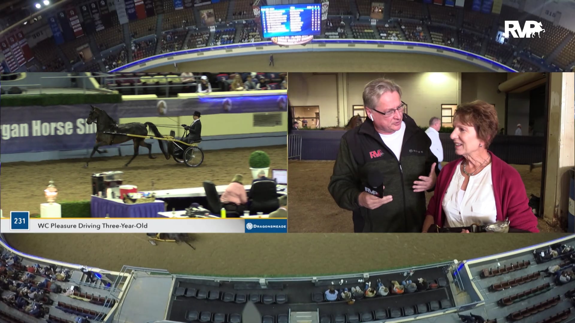 MGN19 - Merriehill Dark Knight - Class 230