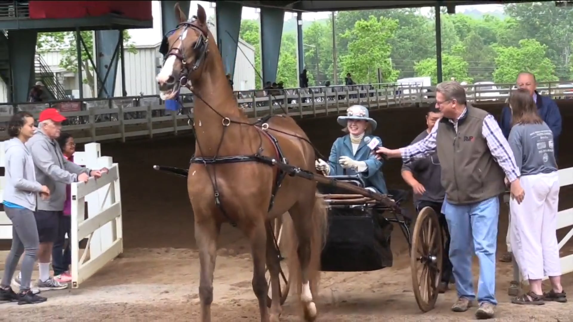 DC17 - Alde Mar's Luna C