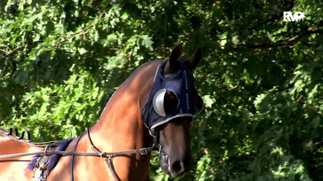 2019 Blue Ridge Classic Horse Show - ...