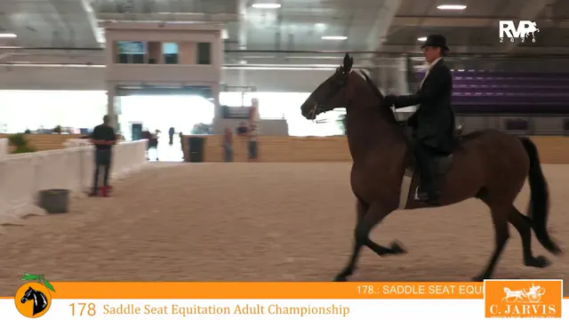 CC26 - Class 178 - Saddle Seat Equita...