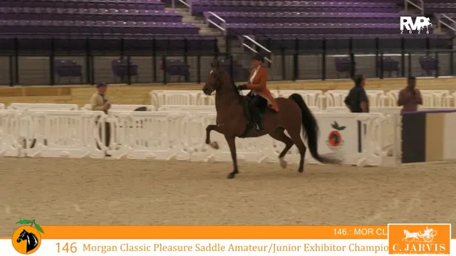 CC26 - Class 146 - Morgan Classic Ple...