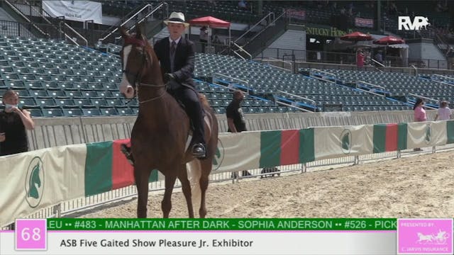 2020 LJL - Class 68 ASB Five Gaited S...