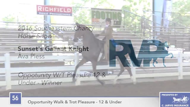 SEC16 - Sunset's Gallant Knight