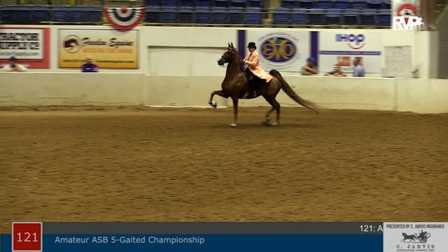 ASHAV21 - Class 121 - ASB Five Gaited...
