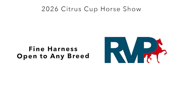 CC26 - Class 34 - Fine Harness Open t...