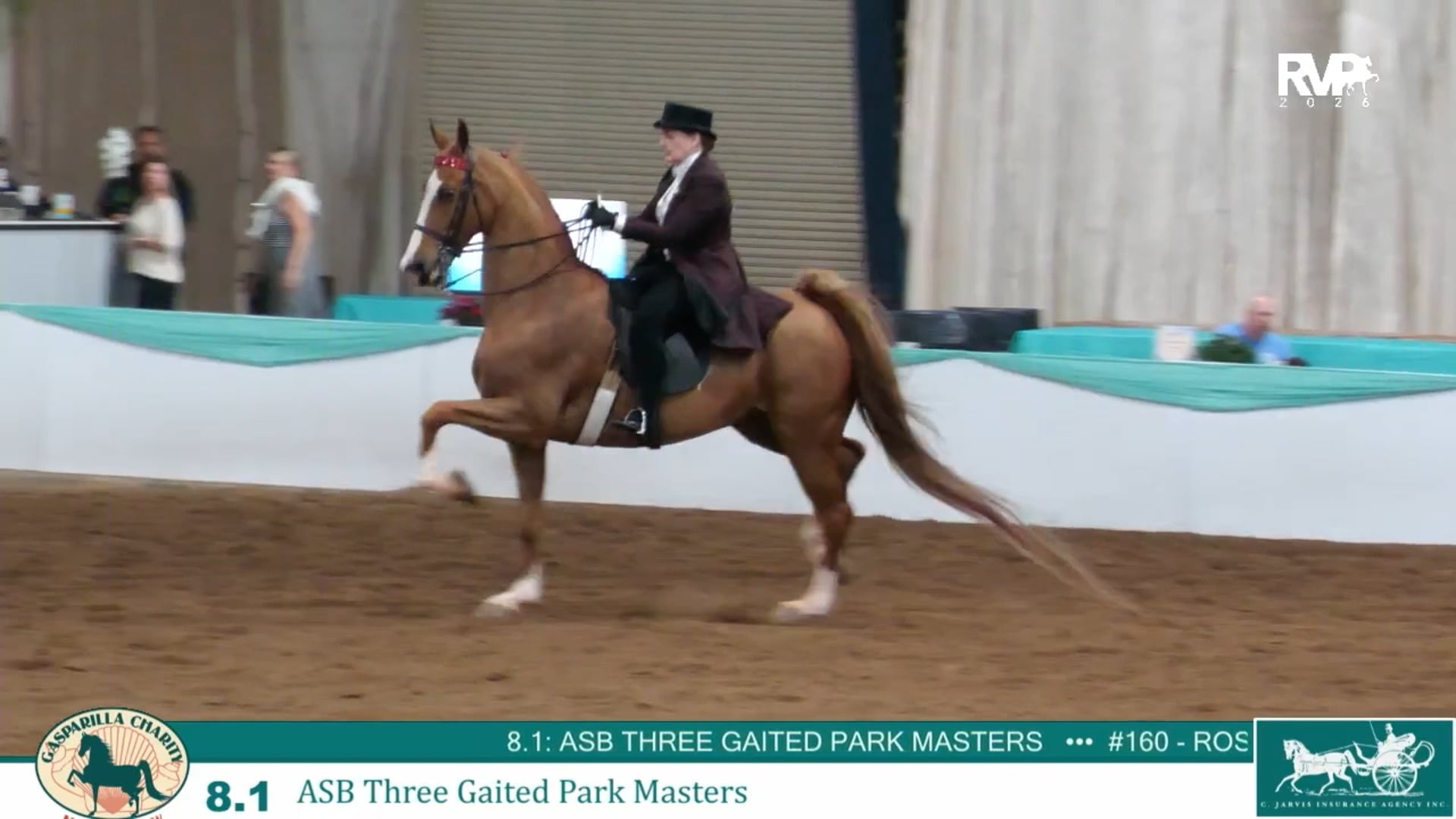 GC26 - Class 8.1 - ASB Three Gaited Park Masters
