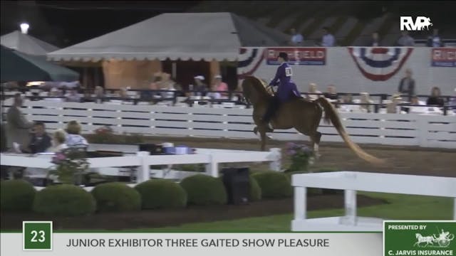 2016 RC - Class 23 Junior Exhibitor T...