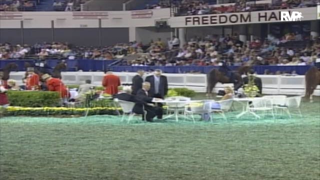 2006 WCHS Class 99 Three Gaited 15.2 ...