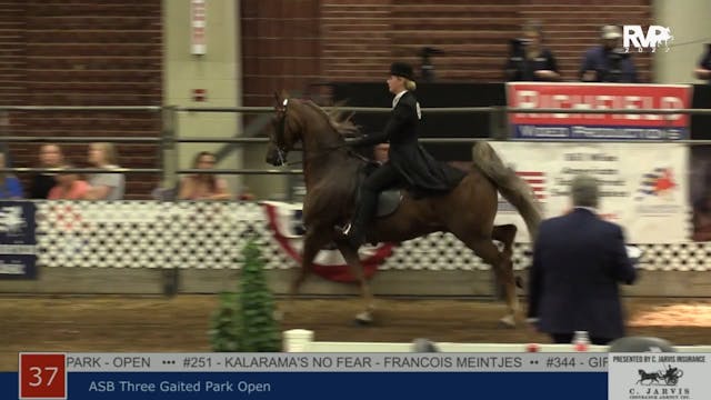 AAC22 - Class 37 -  ASB Three Gaited ...