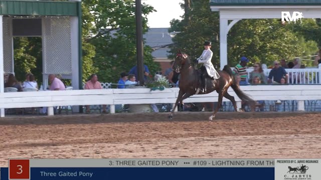 SHS22 - Class 3 -  Three Gaited Pony