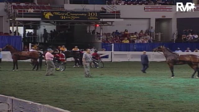 2004 World's Championship Horse Show ...