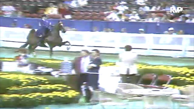 1991 WCHS Class 18 Junior Exhibitor T...