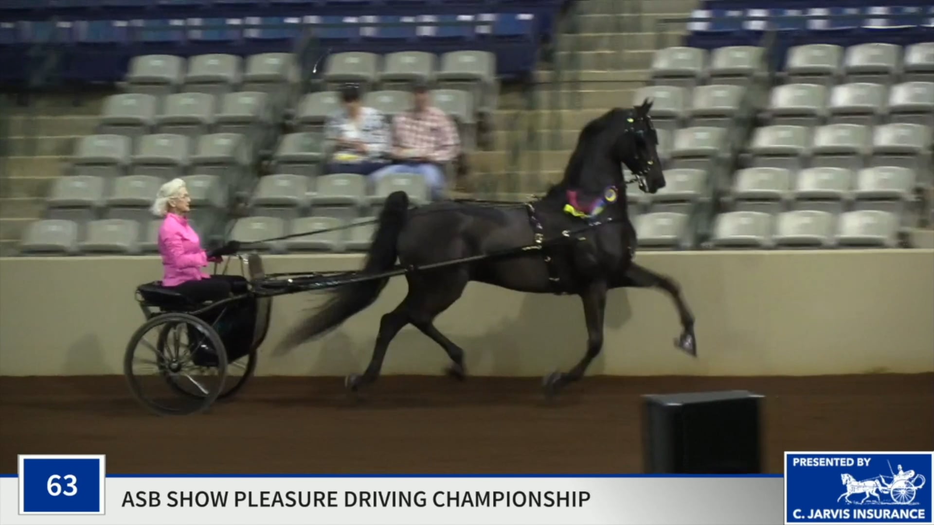 SSSF19 - Class 63 - CH Harlem's Wild And Wonderful Championship