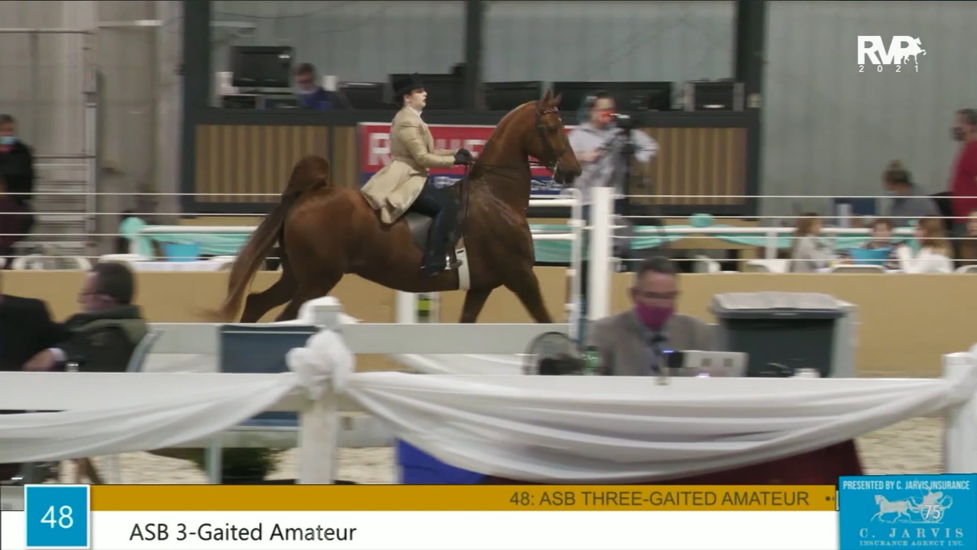 BS21 - Class 48 - ASB Three Gaited Amateur