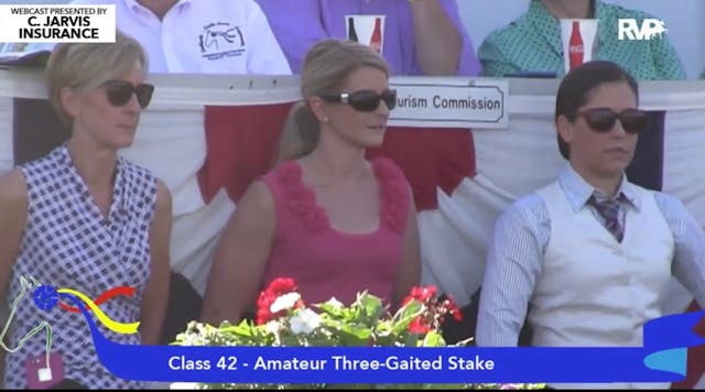 2015 SHS - Class 42 Amateur Three Gai...
