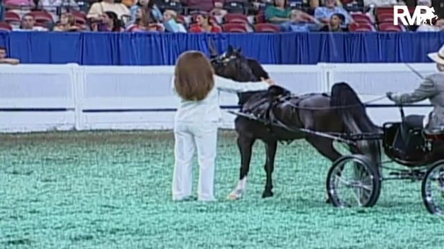 2009 World's Championship Horse Show ...