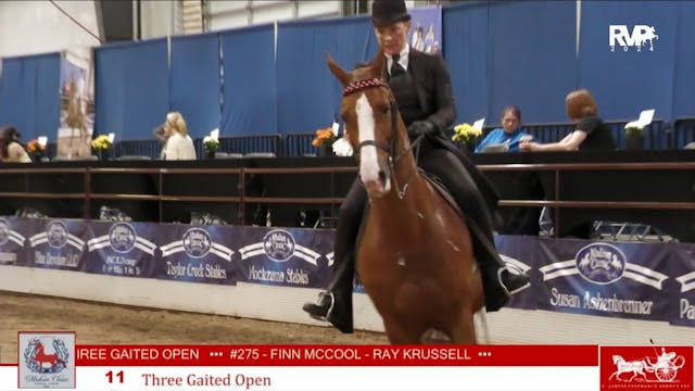 MC24 - Class 11 - Three Gaited Open