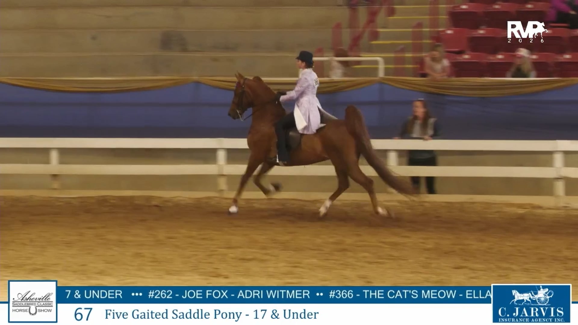 ASC26 - Class 67 - Five Gaited Saddle Pony 17 & Under