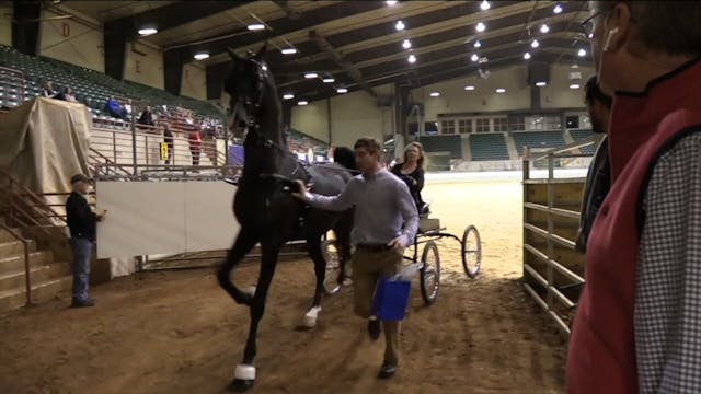 ProAm19 - Class 9 - Nuttin' To Justify