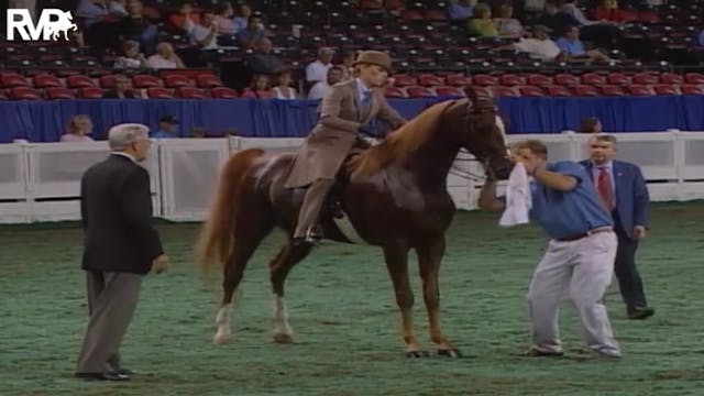 2004 World's Championship Horse Show ...