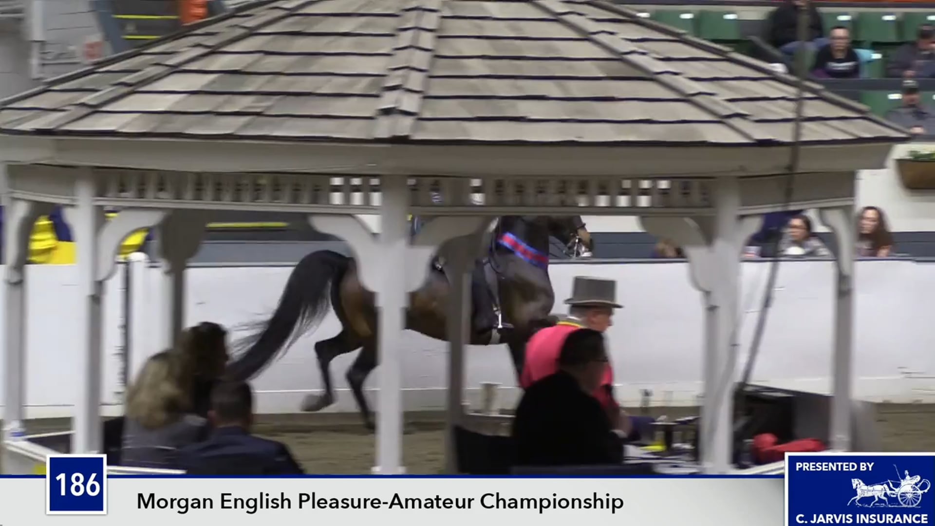 UPHACh14 17 - BRMF Lailanis's Fireball - Championship