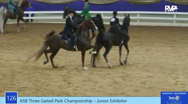 ASC21 - Class 126 - ASB Three Gaited ...