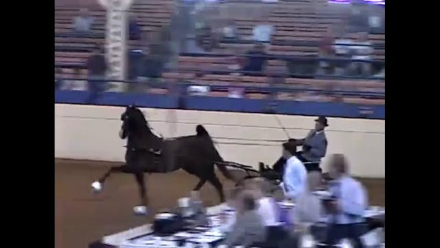 1997 Illinois State Fair - Junior Fin...