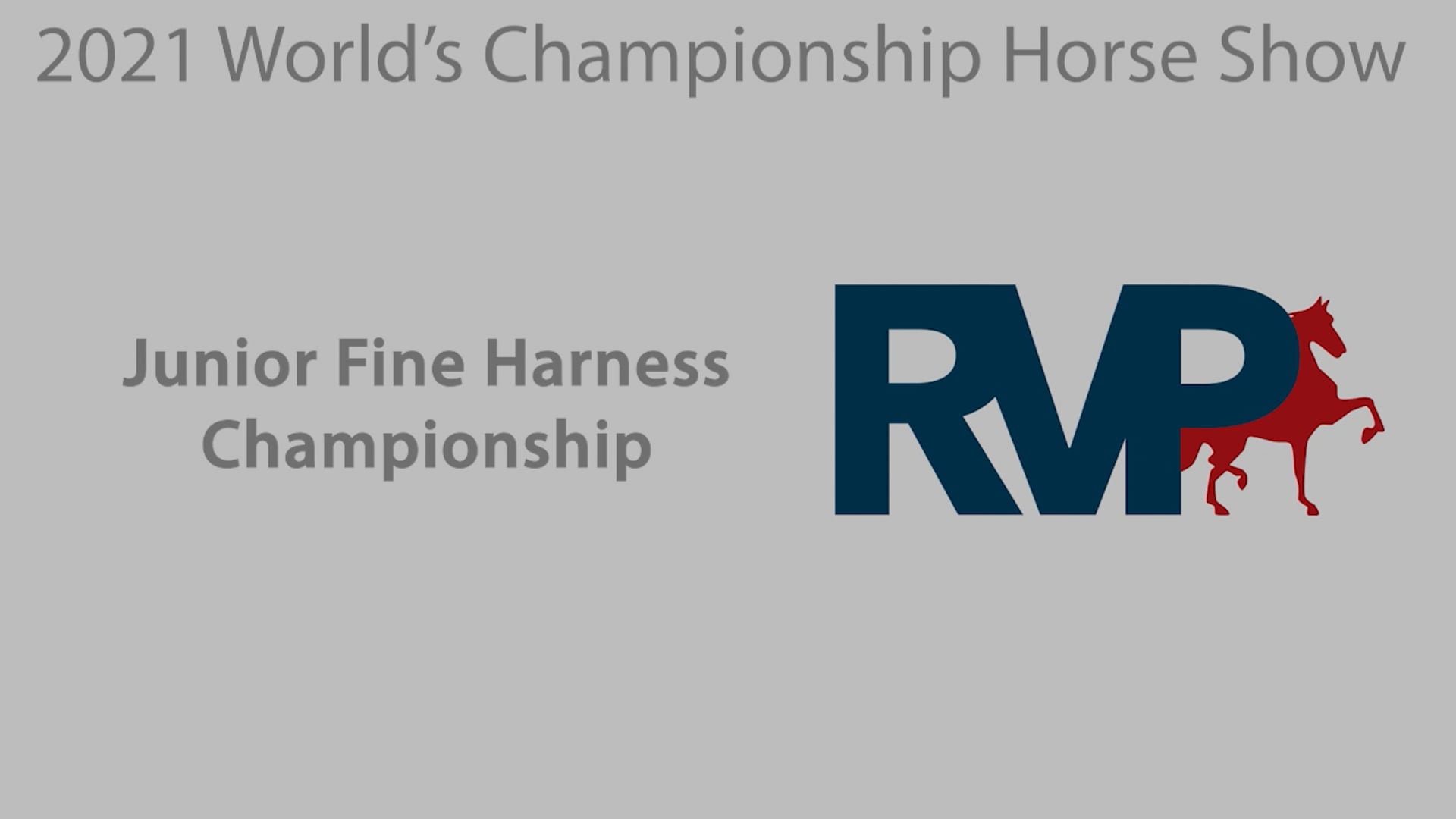 WCHS21 - Class 171 - Junior Fine Harness Championship