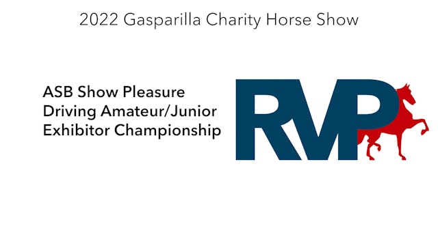 GASP22 - Class 140 - ASB Show Pleasure Driving Amateur-Junior Exhibitor Championship