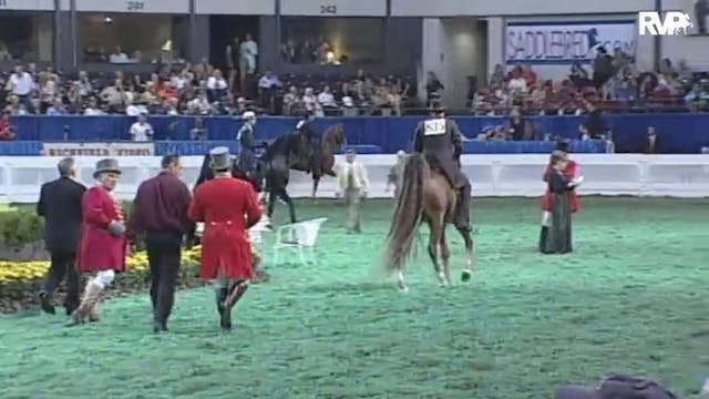 2010 World's Championship Horse Show ...