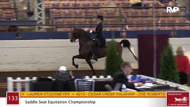 2020 JMHS - Class 133 Saddle Seat Equ...