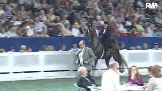 2010 World's Championship Horse Show ...