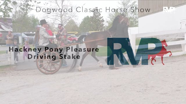 DC24 - Class 89 - Hackney Pony Pleasu...