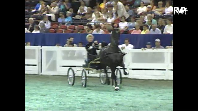 1998 WCHS - Class 48 Amateur Fine Har...