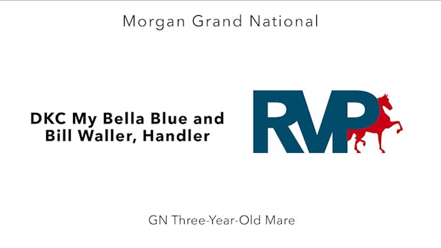 MGN24 - Class 15 - DKC My Bella Blue ...