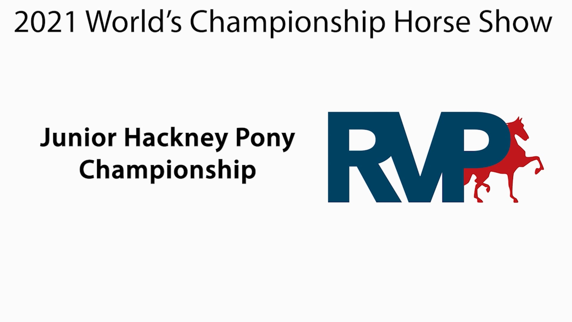 WCHS21 - Class 211 - Junior Hackney Pony Championship