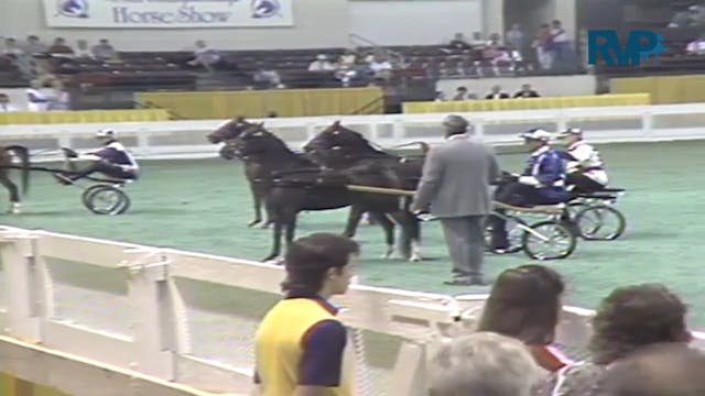 1987 WCHS Class 49 Roadster Pony Stal...