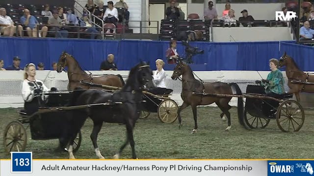 2019 WCHS - Class 183 Adult Amateur H...