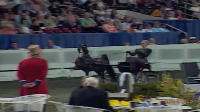 2002 WCHS Class 126 Amateur Ladies Ha...
