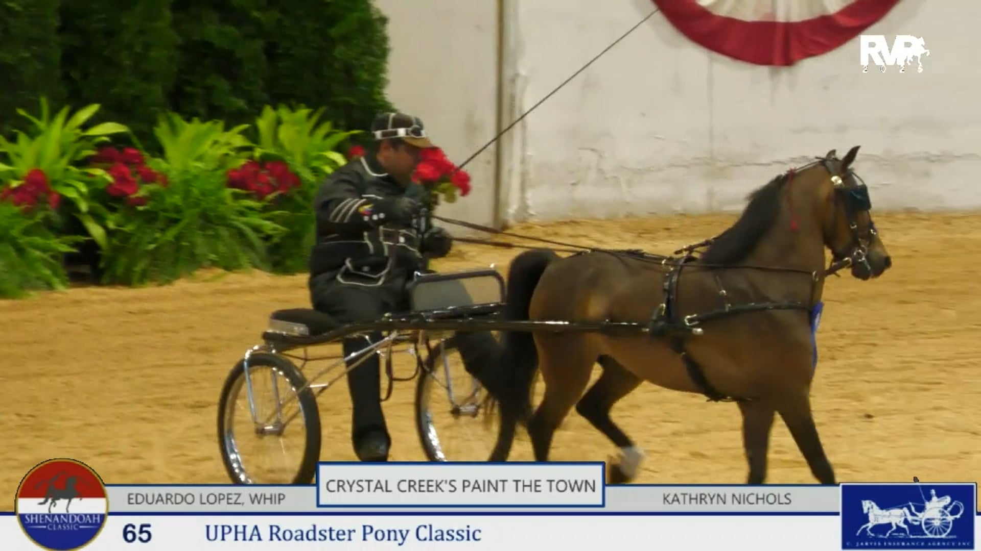 SC25 - Class 65 - Crystal Creek's Paint the Town and Eduardo Lopez, Whip