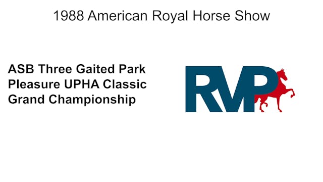 1988 AR - Class 56 ASB Three Gaited P...