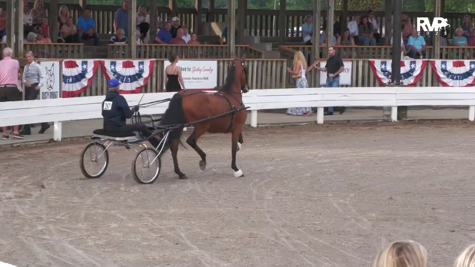 SSC25 - Class 25 - Roadster to Bike Novice Horse