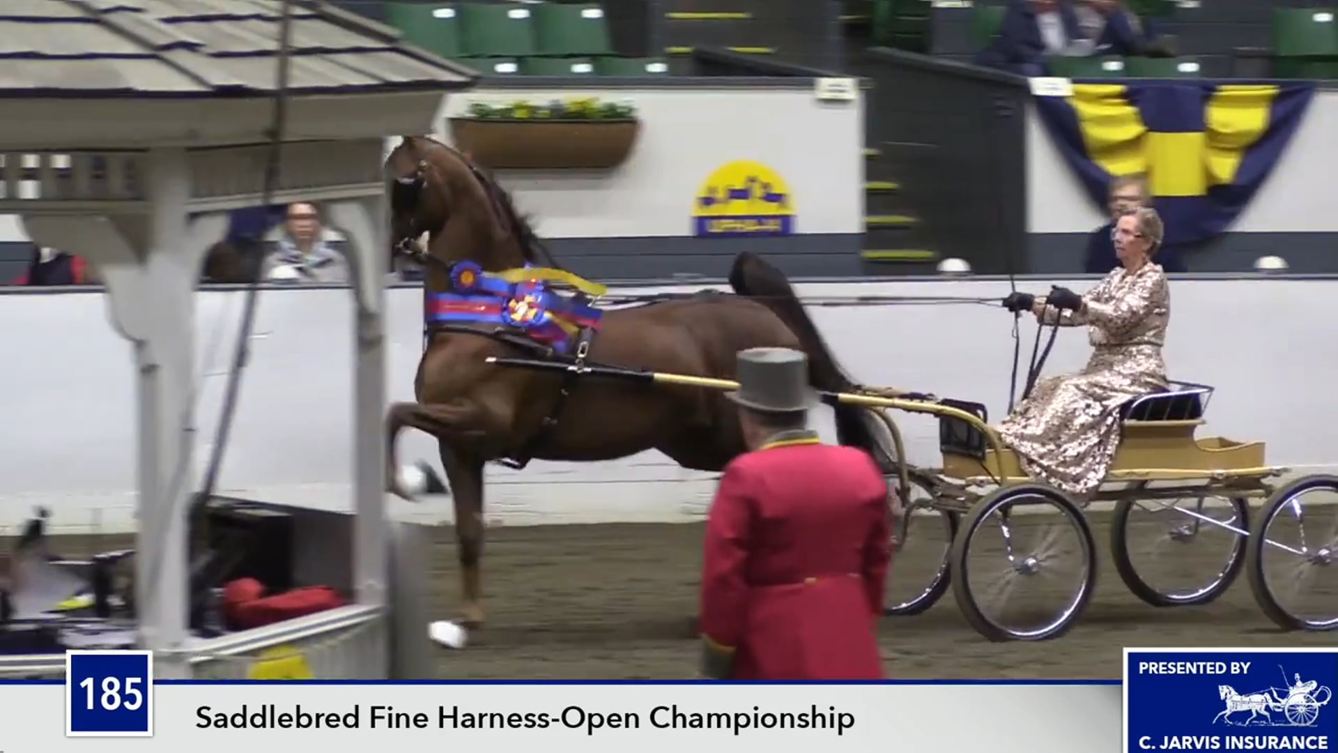 UPHACh14 17 - Undulata's Crystal Crown - Championship