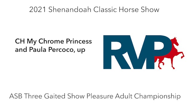 SC21 -  Class 105 - CH My Chrome Prin...