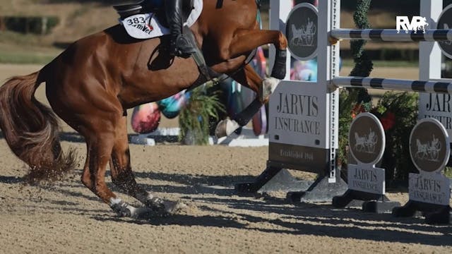 2023 Shenandoah Classic Horse - Tuesd...