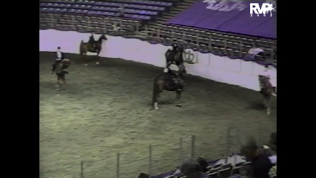 2002 AR - Class 42 Amateur Three Gait...
