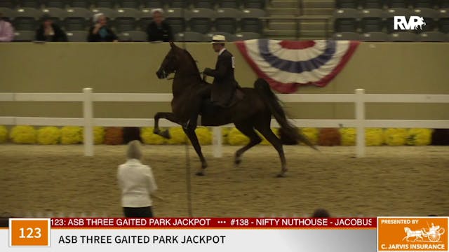 KFC 2020 - Class 123 Three Gaited Par...
