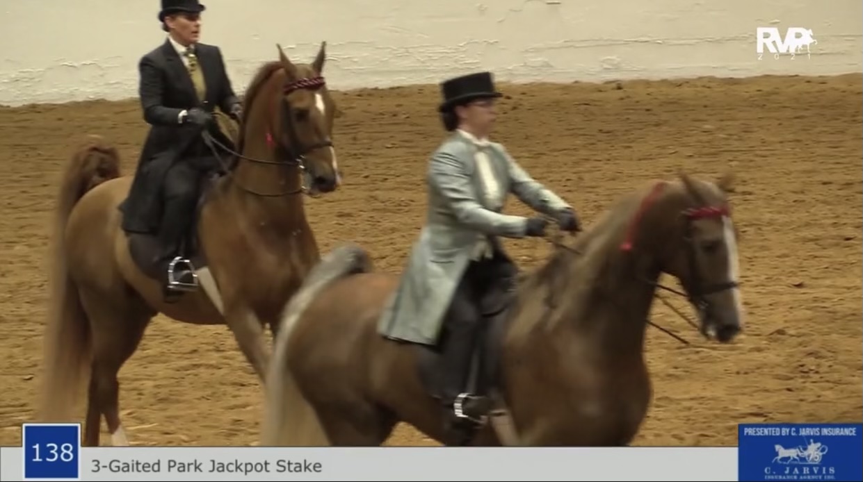 BB21 - Class 138 - Three Gaited Park Stake