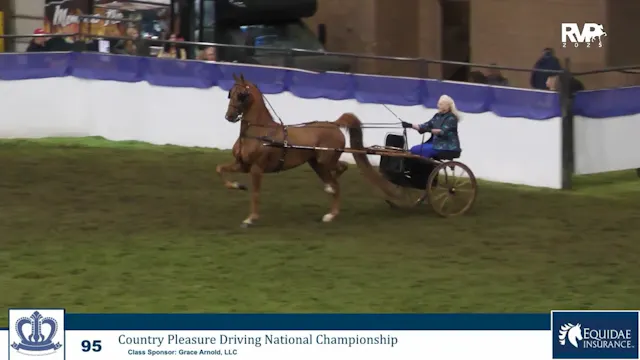 KC25 - Class 95 - Country Pleasure Dr...